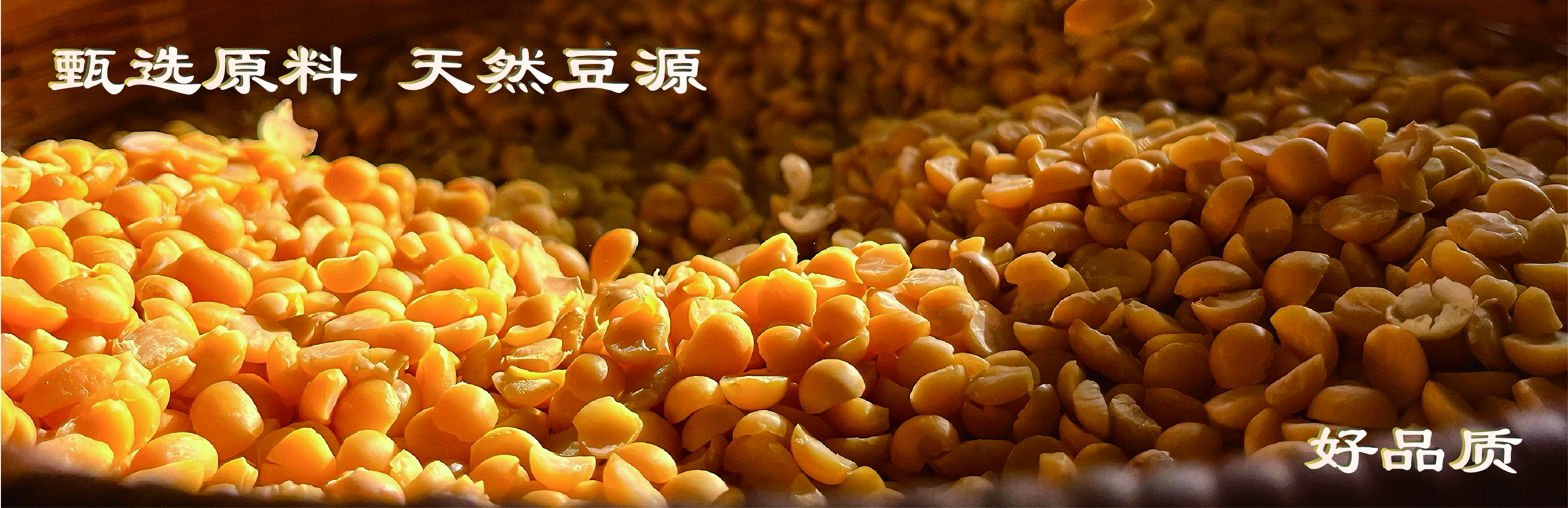 玉林东三食品有限公司