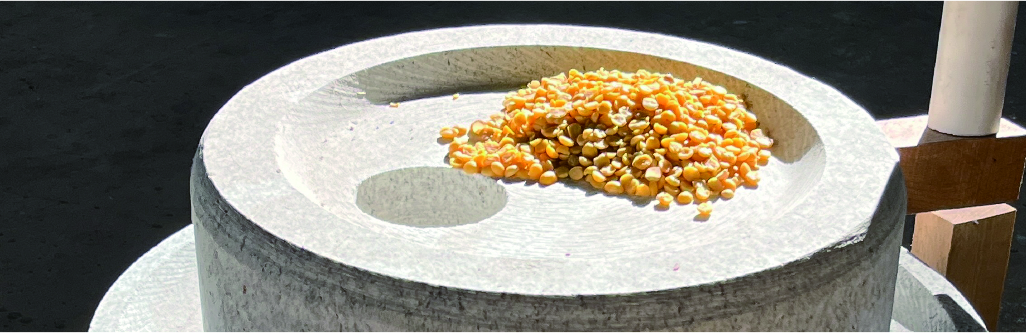 玉林东三食品有限公司